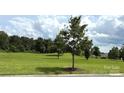 Expansive backyard featuring a well-manicured lawn, mature trees and plenty of open space at 31470 Royal Tern Ln, Indian Land, SC 29707