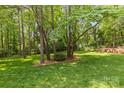 Spacious backyard featuring mature trees, lush green grass, and tranquil surroundings at 4025 Cherrybrook Dr, Mint Hill, NC 28227