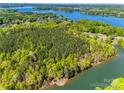 Expansive aerial shot showcasing the lake and the canopy of lush trees at 4095 Kingfisher Dr, York, SC 29745