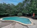 Backyard with private mature landscaping, a pool, brick paving, and patio furniture at 9624 Barnburgh Ln, Huntersville, NC 28078