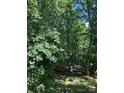 Lush backyard with mature trees, offering a serene and private outdoor space at 3690 Birchwood Ln, Denver, NC 28037