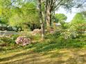 Landscaped front yard featuring azalea bushes at 4315 Chandworth Rd, Charlotte, NC 28210