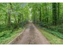 Long, gated driveway winding through lush greenery, offering privacy and a grand entrance at 1513 Shelby Hwy, Cherryville, NC 28021