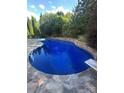 Sparkling backyard pool with stone coping, diving board and mature landscaping for privacy at 504 Johnsfield Rd, Shelby, NC 28150