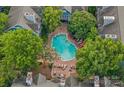 Inviting community pool surrounded by lush greenery and comfortable lounge chairs at 513 N Graham St # 1B, Charlotte, NC 28202
