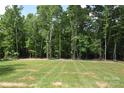 Expansive, well-maintained backyard with lush greenery and mature trees, perfect for outdoor activities at 3011 Buffett Ln # 33, Monroe, NC 28110