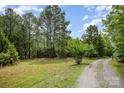 Beautiful property with mature trees bordering a graveled road at 5523 Flint Ridge Church Rd, Marshville, NC 28103
