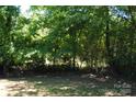 Lush green yard with mature trees and ample shade at 288 S Sutton Rd, Fort Mill, SC 29708