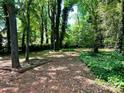 Lush backyard surrounded by mature trees and ivy creating a private and serene outdoor space at 9907 Furlong Trl, Charlotte, NC 28269