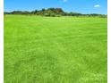 Expansive green backyard offering endless possibilities for outdoor activities and recreation at Lot 101 Coppergate Dr, Salisbury, NC 28147