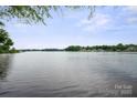 Scenic view of the calm lake waters, framed by lush greenery and distant shorelines at 8216 Malibu Pointe Ln, Denver, NC 28037