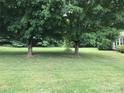 Lush green front yard featuring mature trees that create a cool shaded space in a peaceful residential setting at 609 E Church St, China Grove, NC 28023