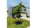 Inviting home with a well-maintained lawn and tidy landscaping around a young tree in a residential neighborhood at 446 Misty Law Ln, Clover, SC 29710