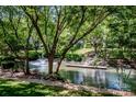 Scenic view of a pond with a fountain and dock, surrounded by lush greenery and mature trees at 19901 Henderson Rd # M, Cornelius, NC 28031