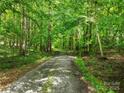 Scenic driveway winding through lush, green trees at 7328 S Providence Rd, Waxhaw, NC 28173