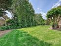 Expansive backyard with lush green grass, surrounded by mature trees and manicured hedges at 11321 James Jack Ln, Charlotte, NC 28277