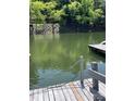 Wooden dock extends into the tranquil water, lush greenery creates a peaceful backdrop, swim ladder included at 26056 Neptunes Lndg, Fort Mill, SC 29708