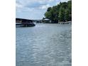 Serene lake view showcasing several boat docks, calm waters, and lush greenery in the background under a partly cloudy sky at 26056 Neptunes Lndg, Fort Mill, SC 29708