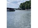 Scenic lake view showcasing boat docks and peaceful surroundings at 26056 Neptunes Lndg, Fort Mill, SC 29708