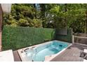 Outdoor swim spa with privacy hedge for relaxing in a private setting at 2213 Normandin Ct, Charlotte, NC 28216