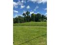 Expansive green backyard with tall trees in the distance under a blue sky with fluffy white clouds at 206 13Th St, Belmont, NC 28012