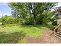 Backyard with mature shade trees and small green ground cover at 208 N School St, Mount Gilead, NC 27306
