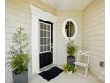 Inviting front entryway with decorative front door, round window, and stylish potted plants at 31415 Royal Tern Ln, Fort Mill, SC 29707