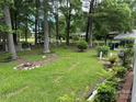 Spacious backyard featuring mature trees and various greenery at 8524 Anette Ave, Mint Hill, NC 28227