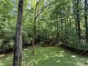 Pictures a scenic backyard with trees, and grass, showcasing the property's peaceful natural setting at 1451 Blueberry Ln, Charlotte, NC 28226