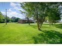 Expansive grassy yard with mature trees, showcasing the generous outdoor space of this well-maintained property at 319 Glenhaven Dr, Charlotte, NC 28214