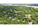 An aerial view of a neighborhood with houses nestled among lush trees and a large body of water in the distance at 6795 Montgomery Rd, Lake Wylie, SC 29710