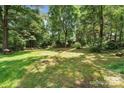 Lush backyard with mature trees providing ample shade and a charming picnic area at 1134 Willow Oaks Trl, Matthews, NC 28104