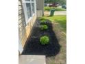 Beautifully landscaped garden bed with lush greenery and dark mulch, enhancing the home's curb appeal at 4521 Palustris Ct, Charlotte, NC 28269
