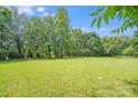 Expansive grassy backyard bordered by lush, mature trees, offering ample space for outdoor activities and privacy at 6300 Mount Pleasant S Rd, Concord, NC 28025