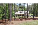 Inviting home partially obscured by tall trees, offering a sense of privacy and tranquility at 4660 Gold Finch Dr, Denver, NC 28037
