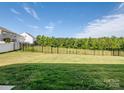 Large, fenced backyard with lush green grass, perfect for outdoor activities and relaxation at 3615 Slider Ter, Indian Land, SC 29720