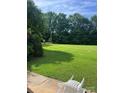 Expansive backyard with lush green grass and mature trees offering plenty of space at 803 Freeman Rd, Concord, NC 28025
