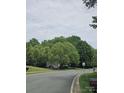 View of a street lined with lush green trees, showcasing the neighborhood's natural beauty at 15494 Donnington Dr, Charlotte, NC 28277