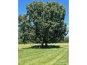 Picturesque property featuring a mature tree standing prominently in a large, well-maintained grassy lawn at 765 York Institute Rd, Hiddenite, NC 28636