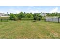 Picturesque backyard with a black metal fence, trees, and lush green grass for outdoor enjoyment at 4912 Grace View Dr, Pineville, NC 28134