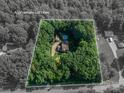 Aerial view of a secluded property with a private pool surrounded by lush greenery and mature trees at 3513 Briarcliff Acres Dr, Lincolnton, NC 28092