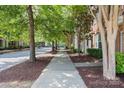 Peaceful street view of a residential neighborhood lined with trees and sidewalks at 10027 Juniper Trace Dr, Charlotte, NC 28277