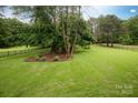 Spacious backyard with lush green grass, mature trees, and a black fence at 1912 Windmere Dr, Monroe, NC 28110