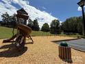 Fun playground with slides, swings, and wood chip ground cover, perfect for Gathering enjoyment at 4240 Ladys Slipper Ln, Matthews, NC 28105