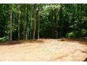 Spacious backyard featuring lush trees, perfect for outdoor activities and relaxation at 3452 Hands Mill Hwy, York, SC 29745