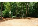Large private lot backs to trees, offering seclusion and natural beauty at 3452 Hands Mill Hwy, York, SC 29745