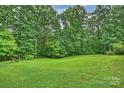 Lush backyard with a large, well-maintained lawn surrounded by mature trees at 3017 Brooks Mill Ln # 10, Wingate, NC 28174