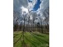 Beautiful view of the spacious backyard and open sky beyond the tree line at 3017 Brooks Mill Ln # 10, Wingate, NC 28174