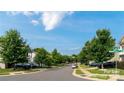 Neighborhood street view featuring well-maintained lawns, mature trees, and parked cars at 11109 Pond Valley Ct, Charlotte, NC 28269