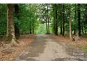 Long asphalt driveway is surrounded by mature trees and lush greenery at 1565 Earnhardt Rd, Salisbury, NC 28146